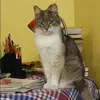 Отзыв от Майя Козлова